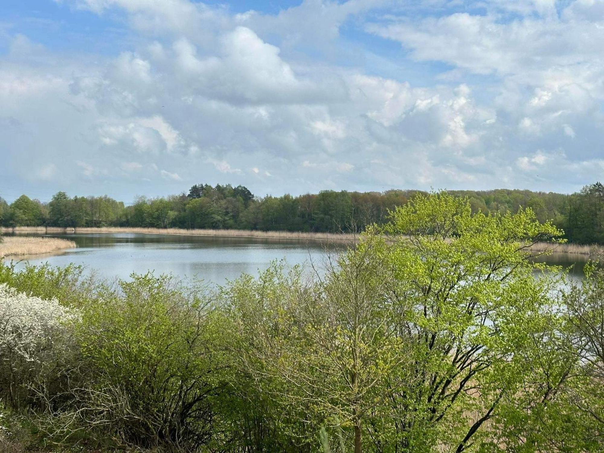 Apartament Natura Z Widokiem Na Jezioro Iława Eksteriør bilde